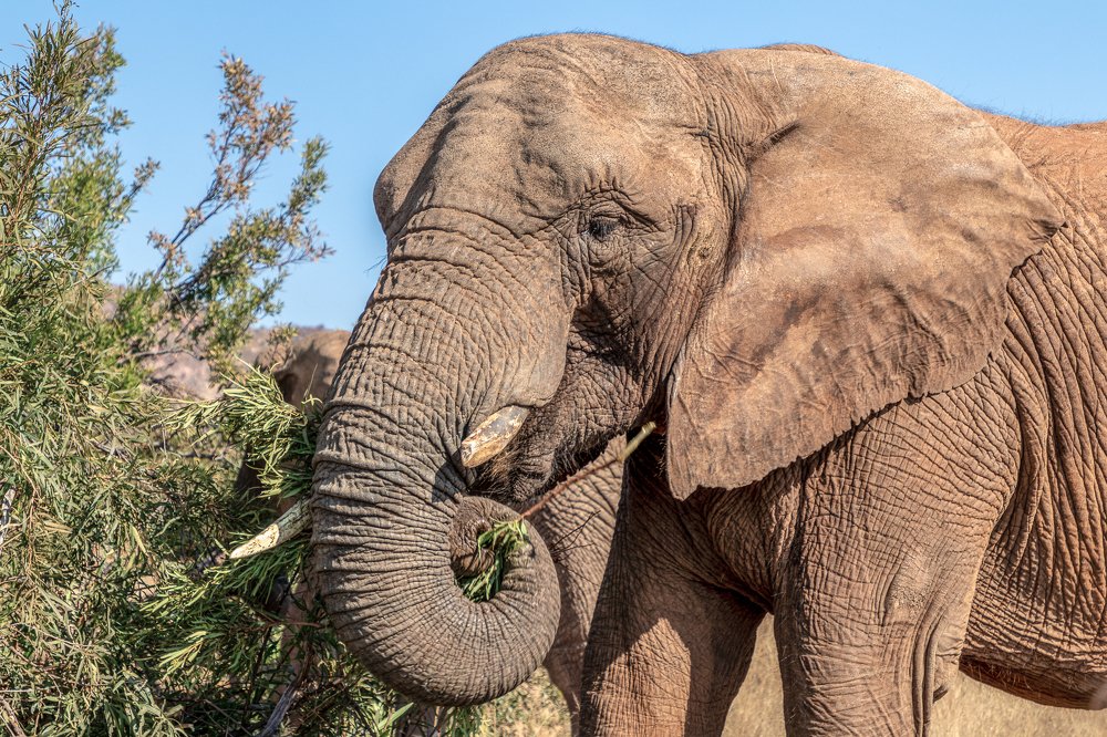 Photograph by  Анастасия Тимарг