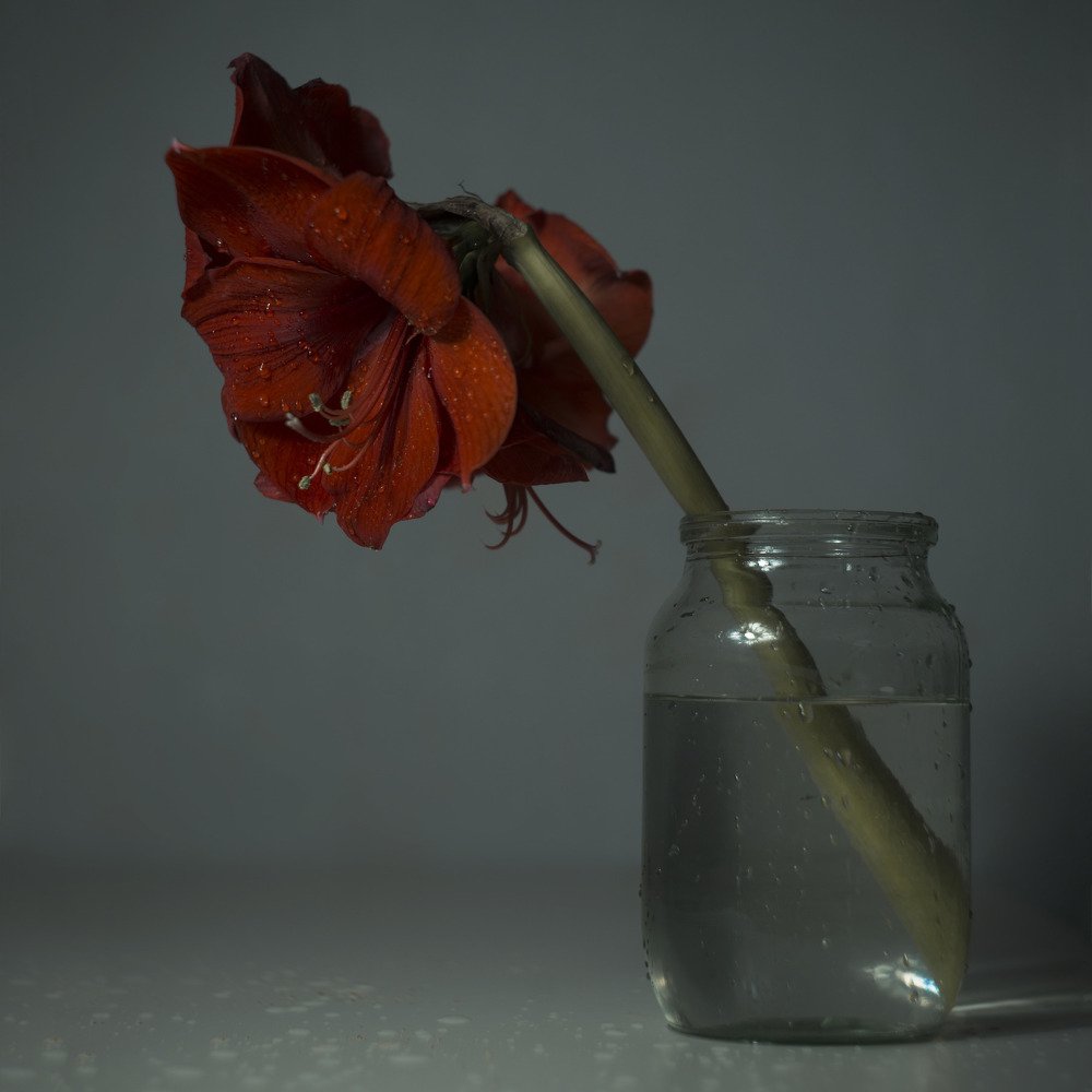 Photograph by Алёна Таланова