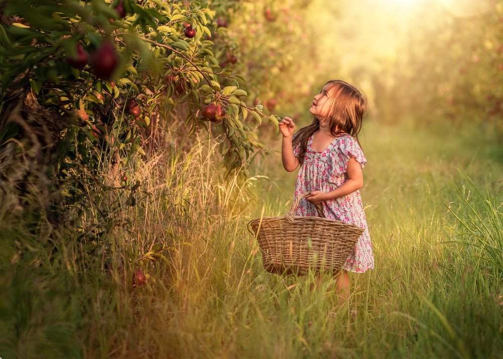 alza la mirada y aprecia la vida