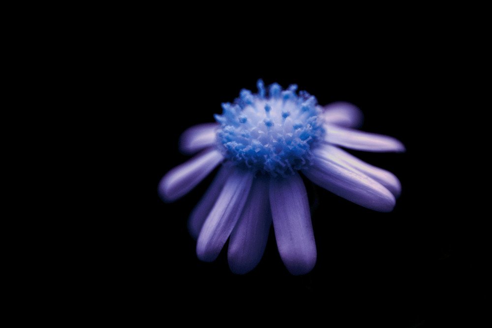 Photograph by mohamed