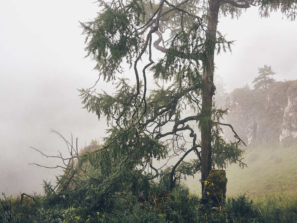 Photograph by Александр Могилатов