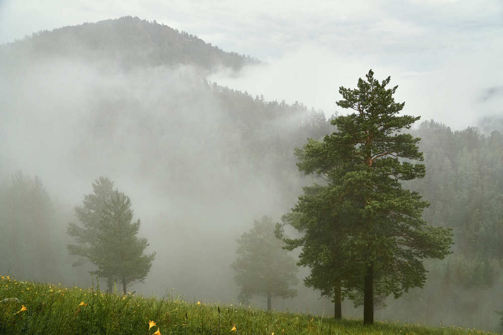 Photograph by Александр Могилатов