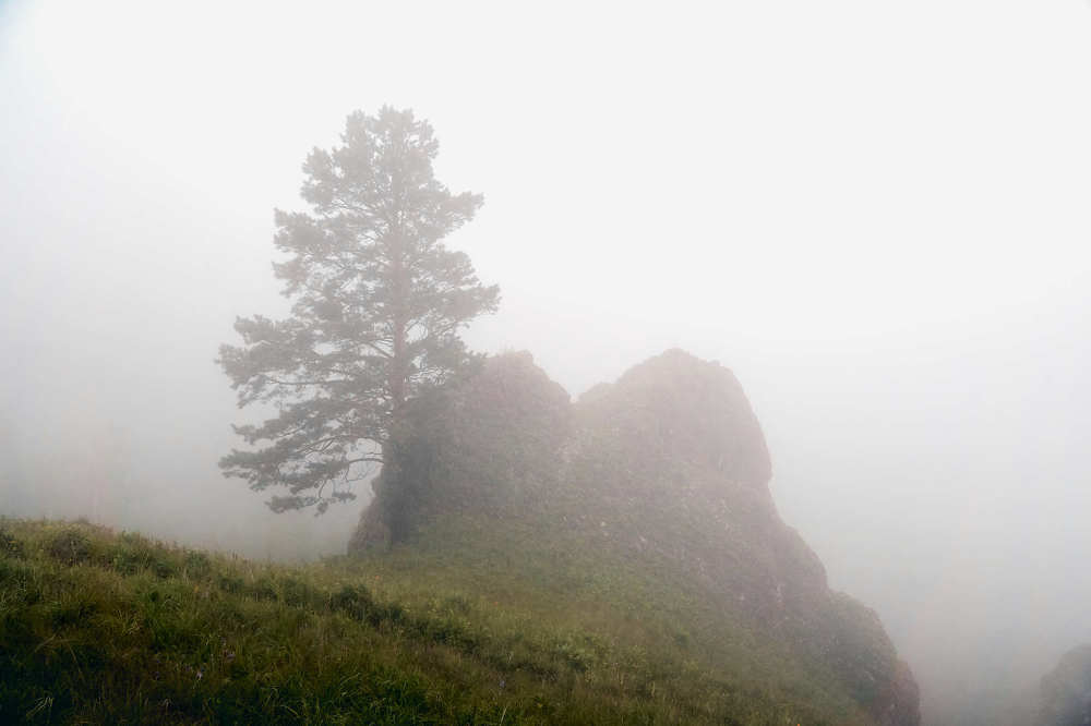 Photograph by Александр Могилатов