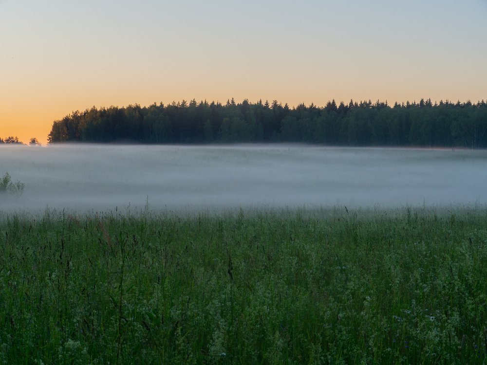 Photograph by Алексей Шевкунов