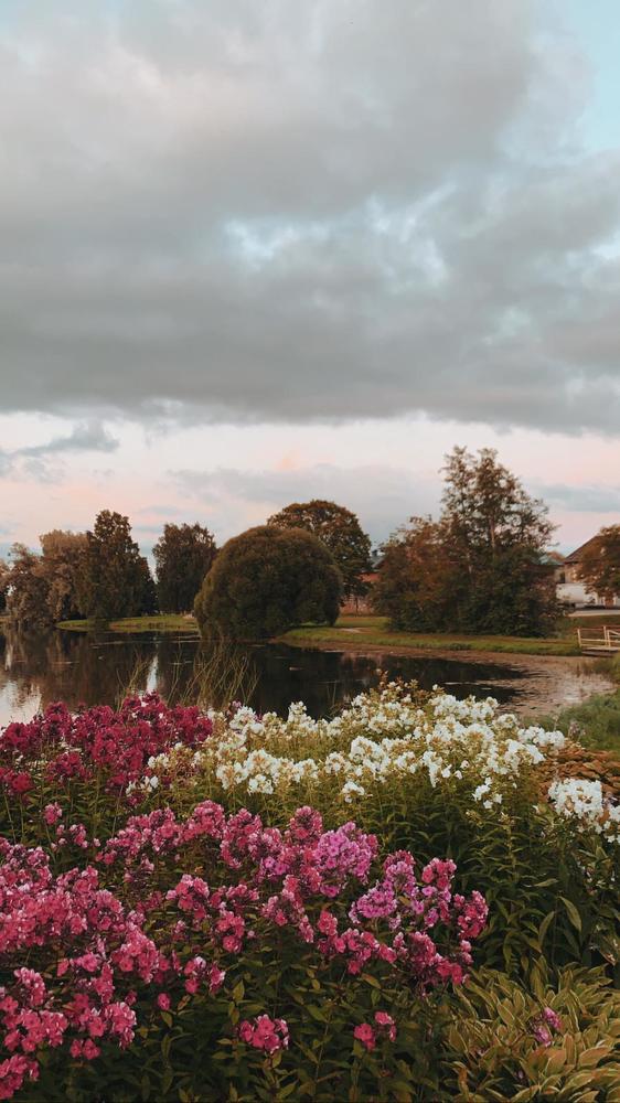 Красивая природа Эстонии;)