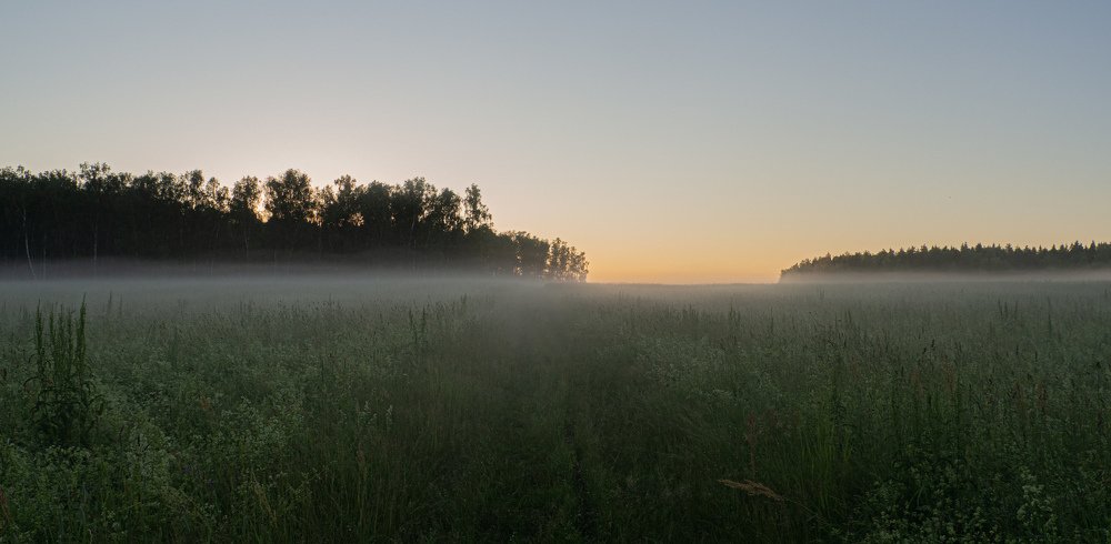 Дорога в никуда