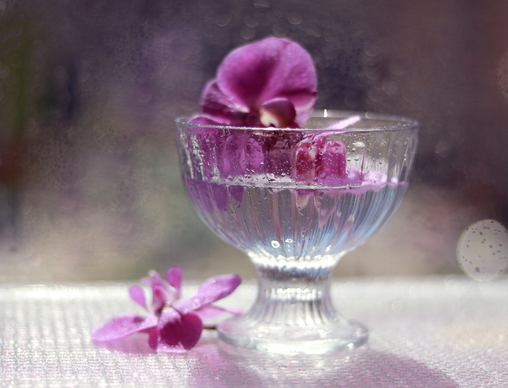 Photograph by Светлана Кондратьева
