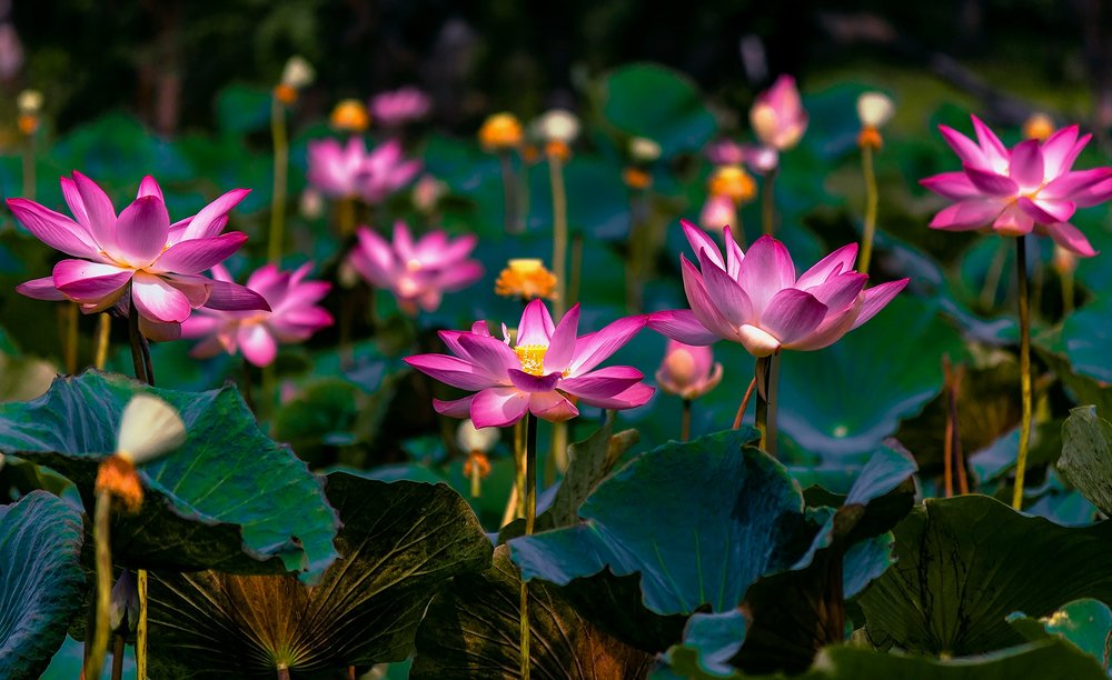 Photograph by Abhigya Jain