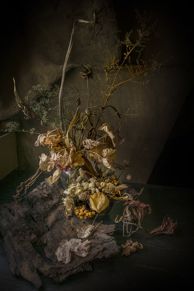 Фотография автора Milena Ivanova