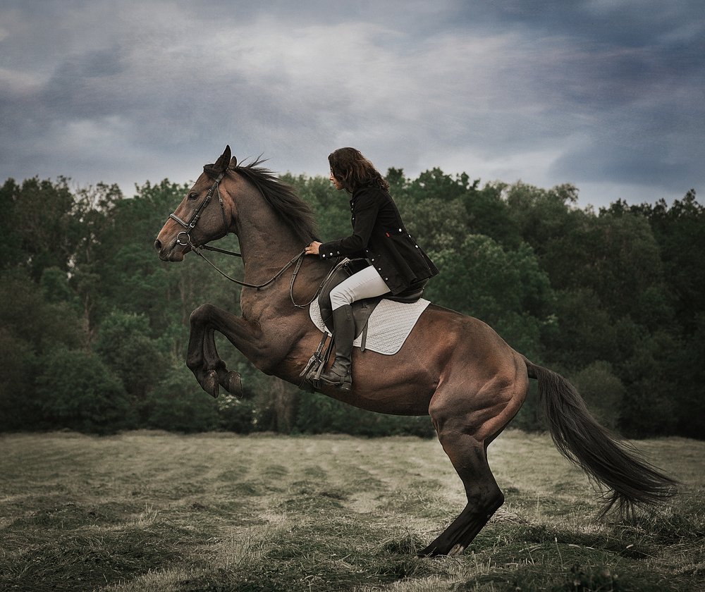 Фотография автора Marta Goch