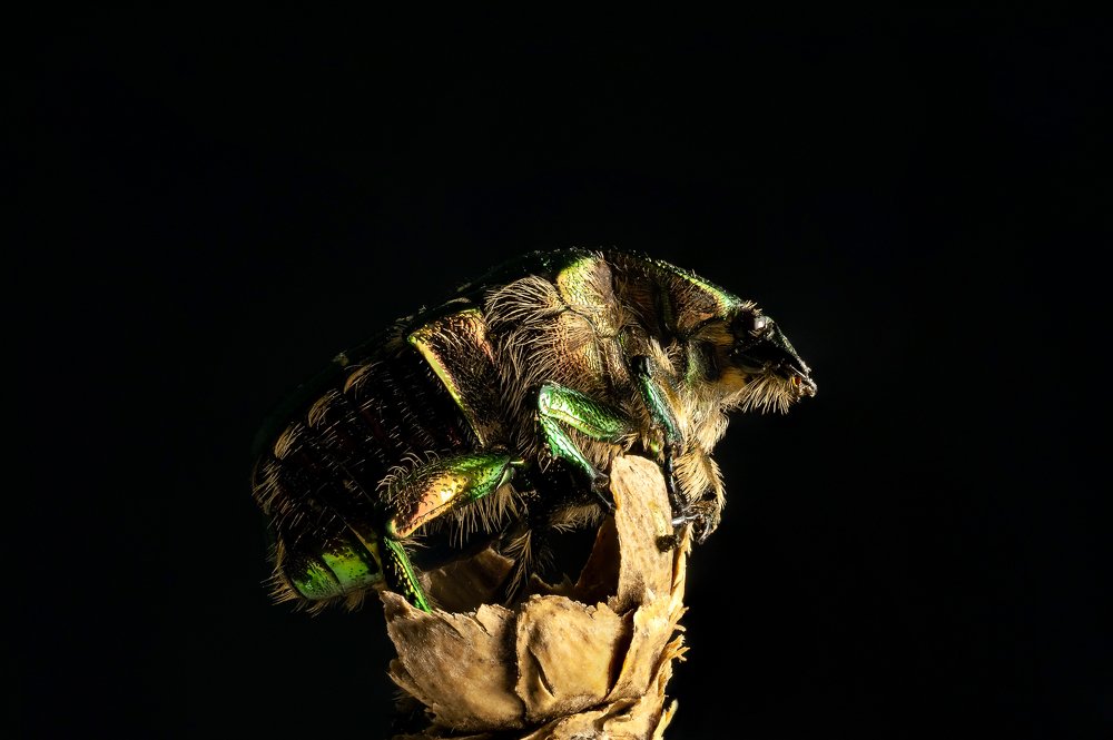 Photograph by Михаил Курихин