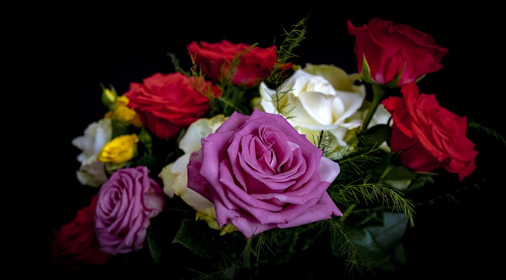 Photograph by Alex Kalpus