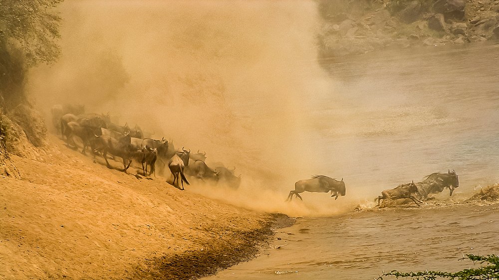 Photograph by Soumen Ghosh