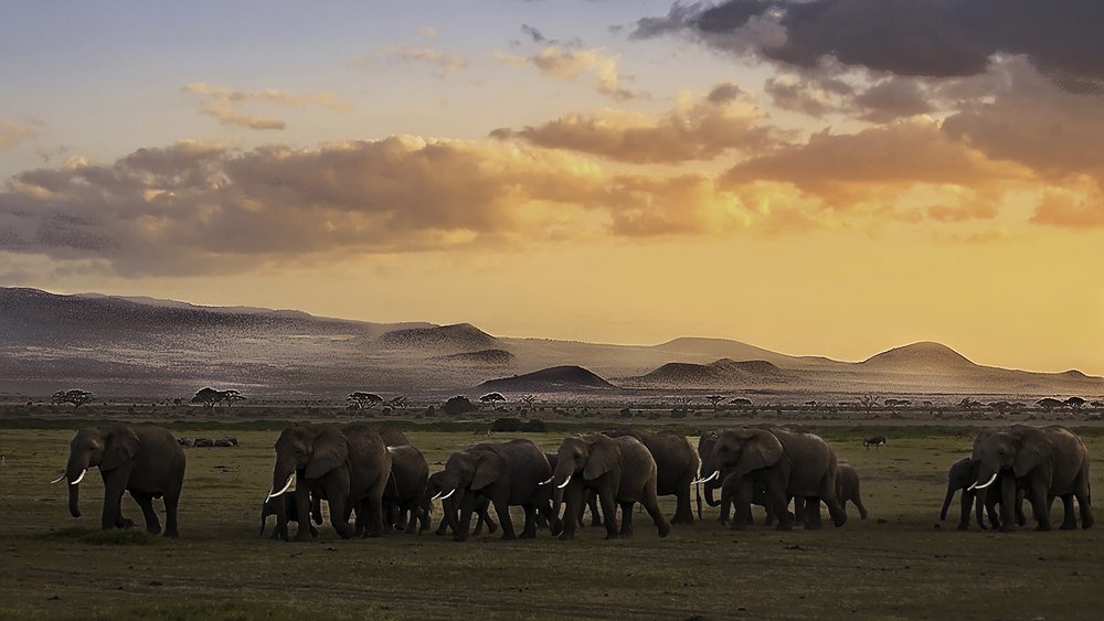 Photograph by Soumen Ghosh