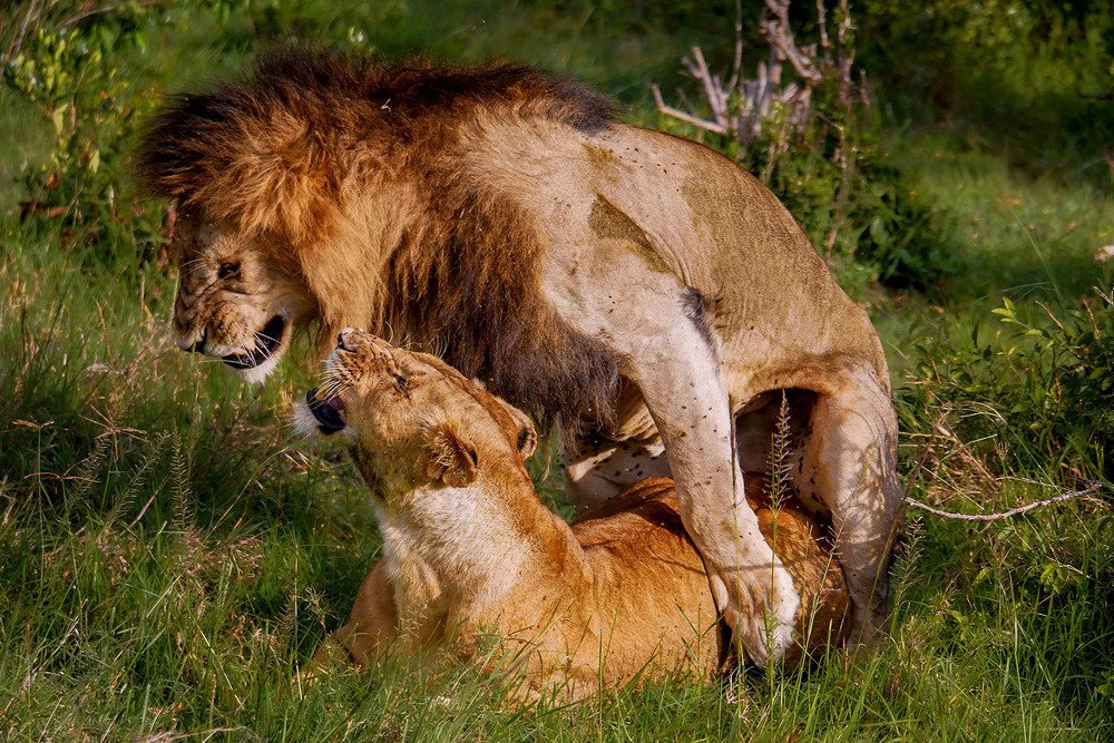 Photograph by Soumen Ghosh