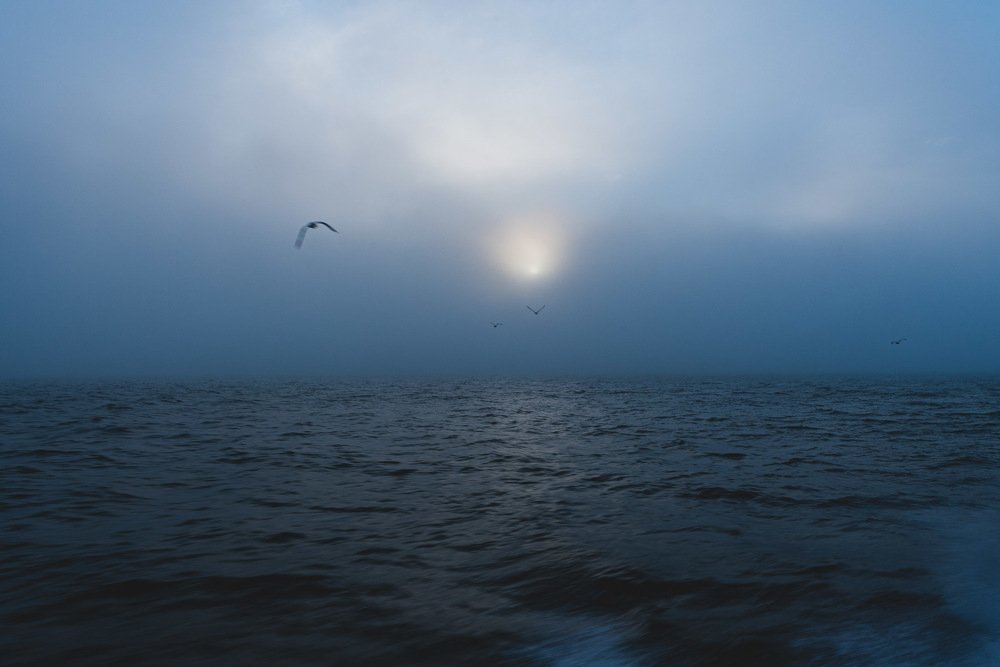Photograph by Галина Баранова