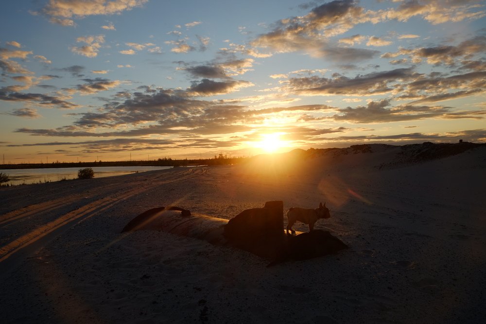 Photograph by Ирина Степанова