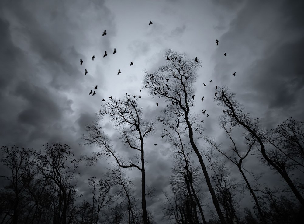 Photograph by Костадин Маджаров