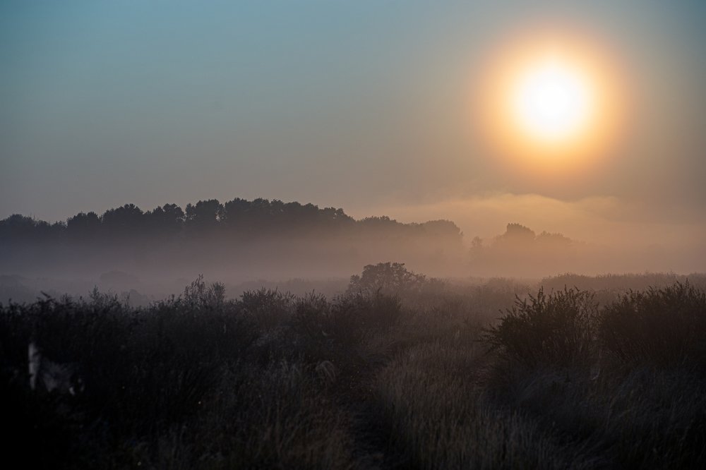 Photograph by Равиль Яхин
