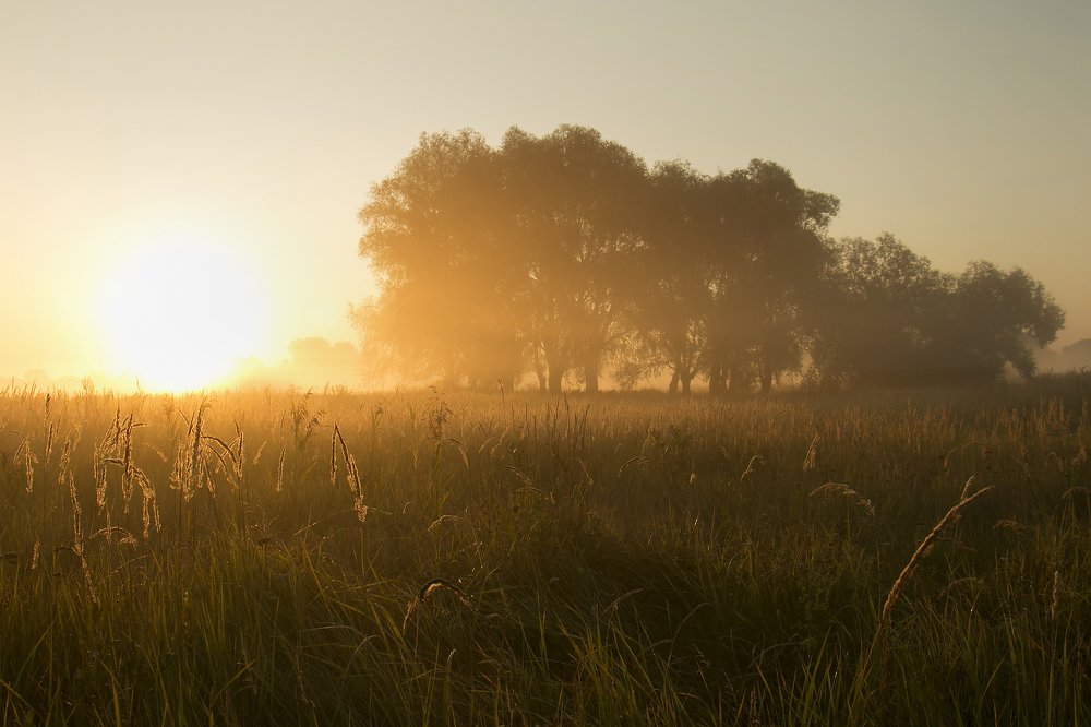 Photograph by Анна Татаренко