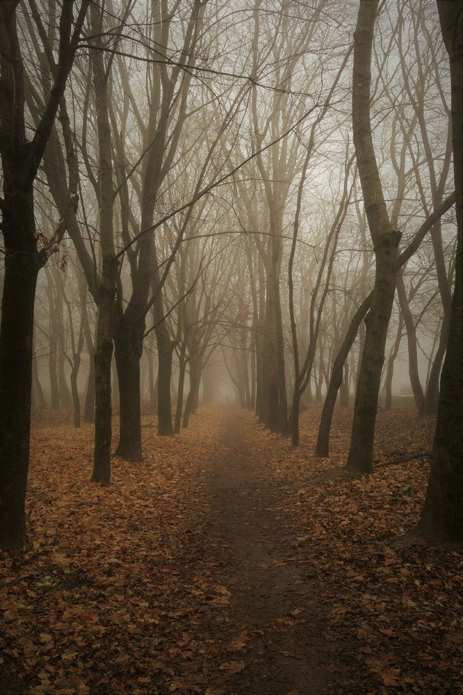 Photograph by Анна Татаренко