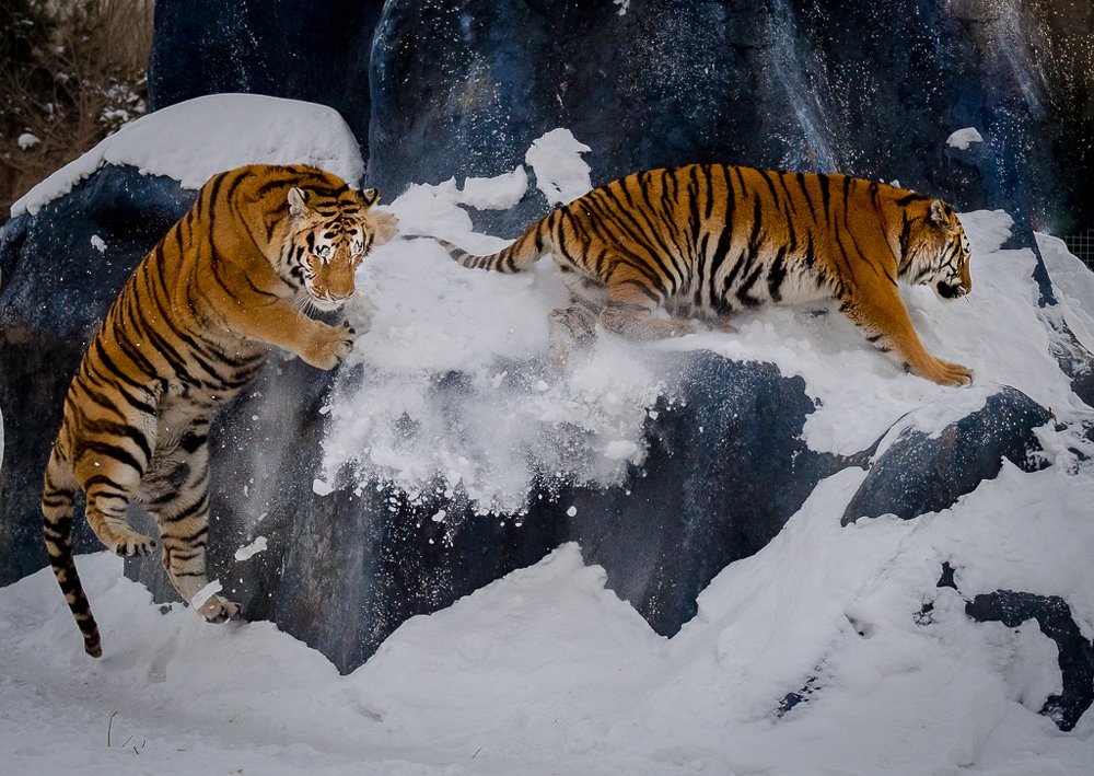 Photograph by Maurice Leung