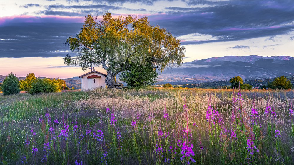 Photograph by Venelin Dimitrov