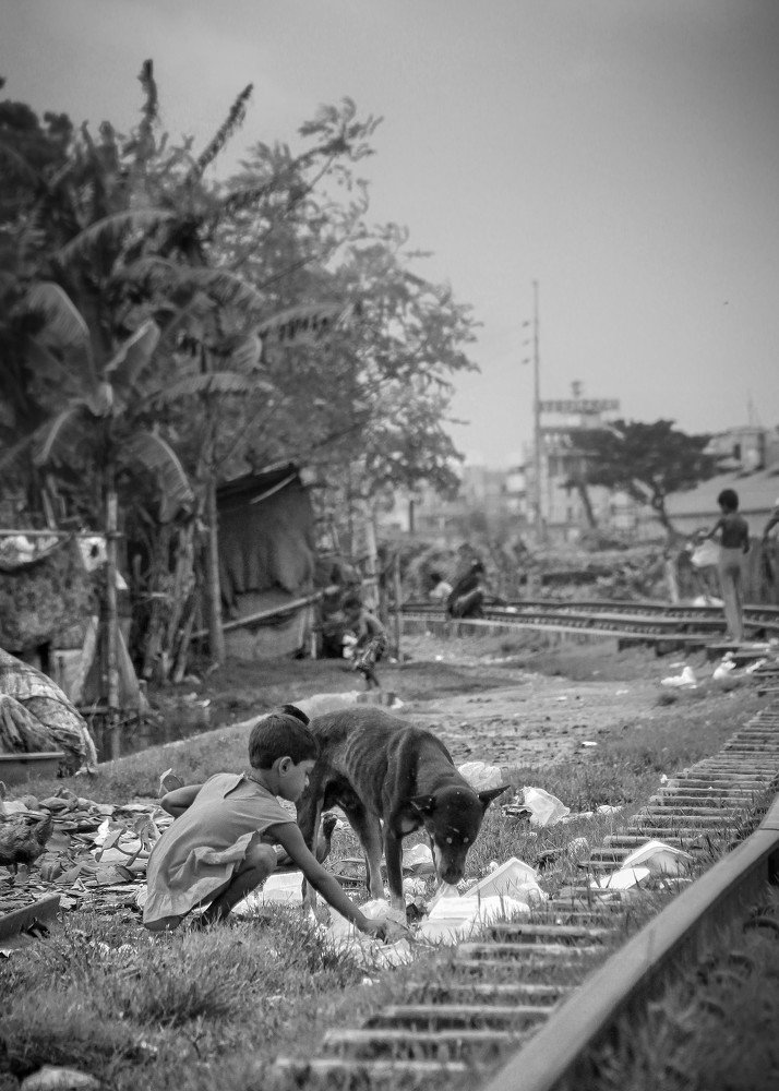 Human and dog search food together.