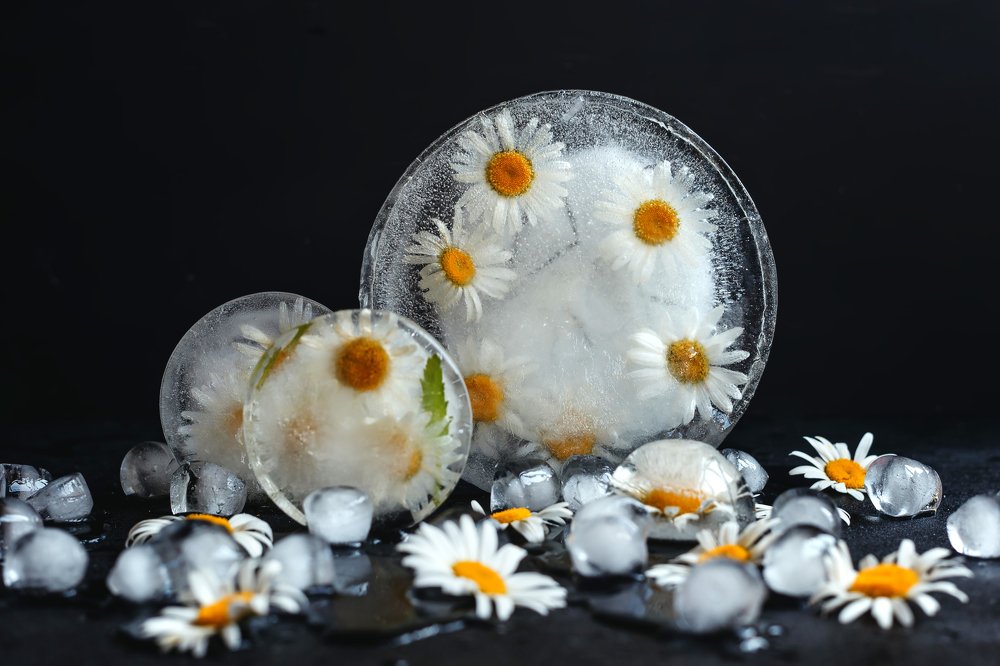 Photograph by Kristina Shlimovich