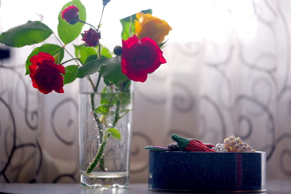 Photograph by Диана Арье