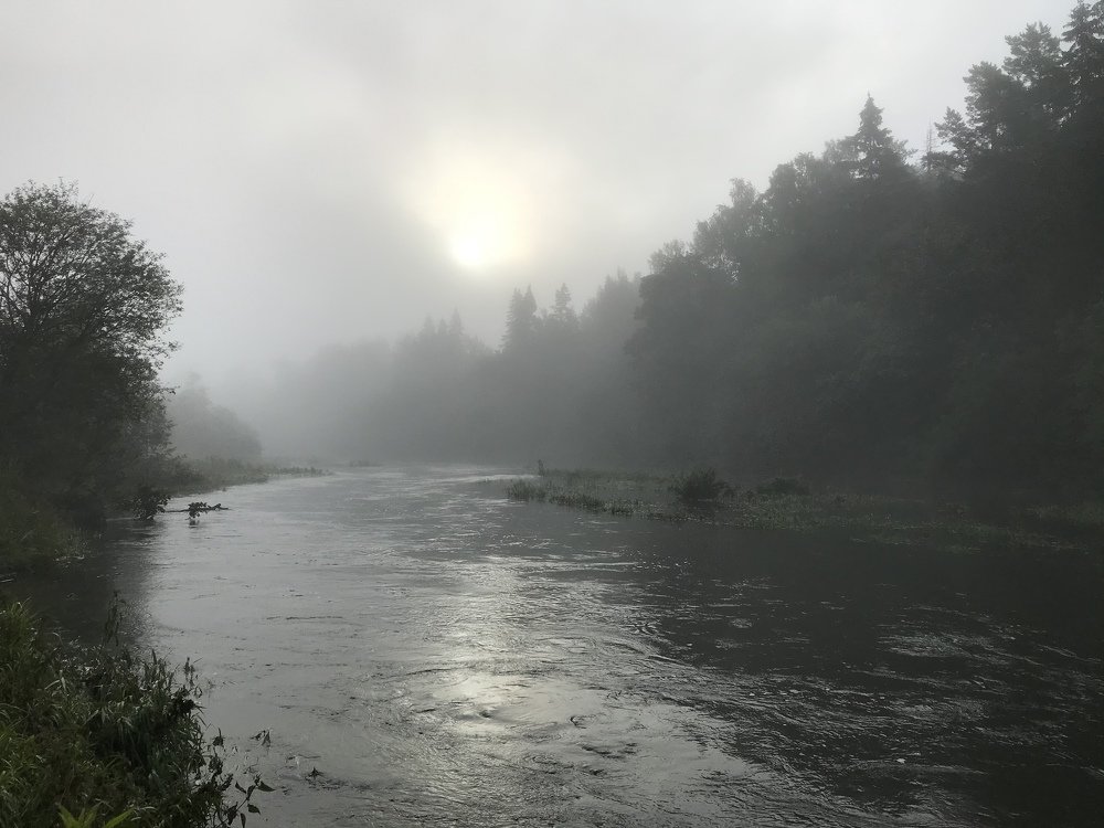 Photograph by Шаргородская Марина