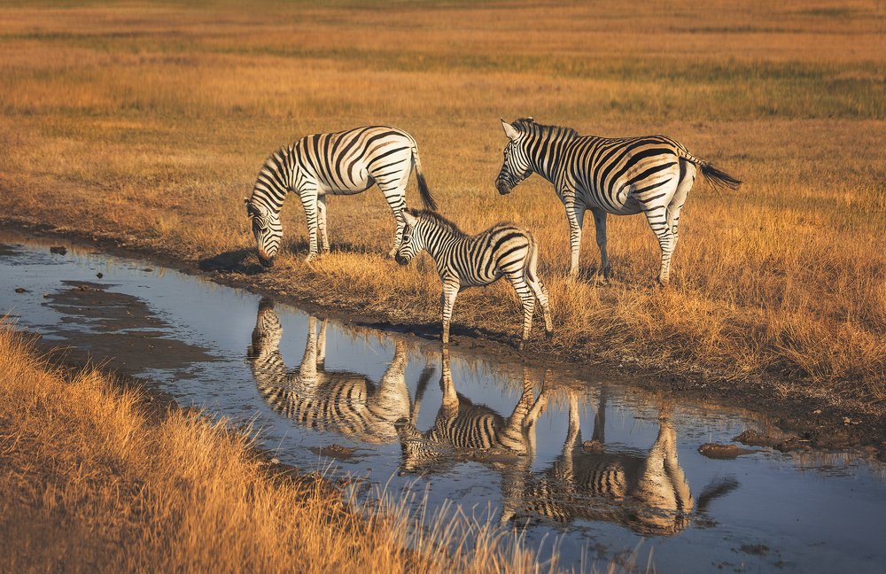 Photograph by Наталия Деркач