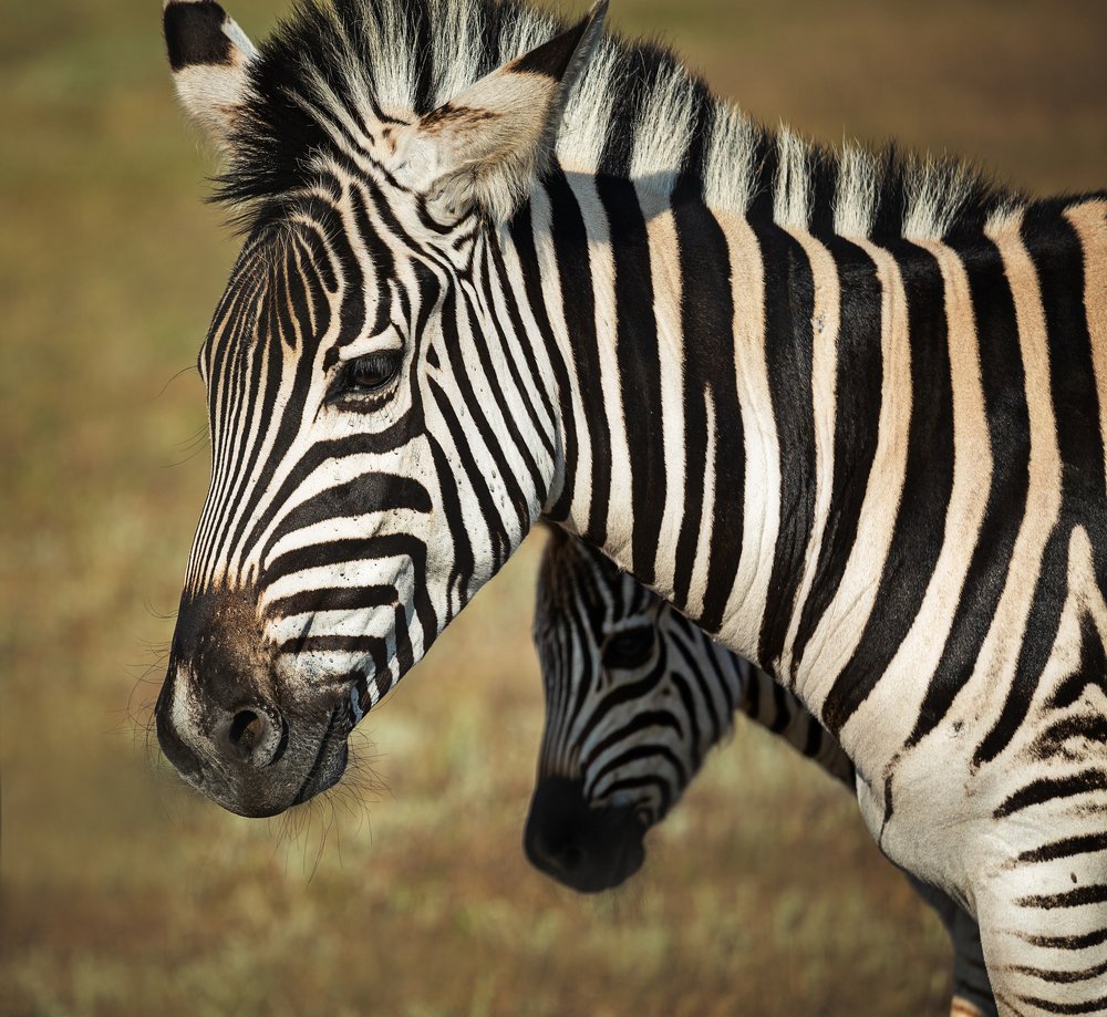 Photograph by Наталия Деркач