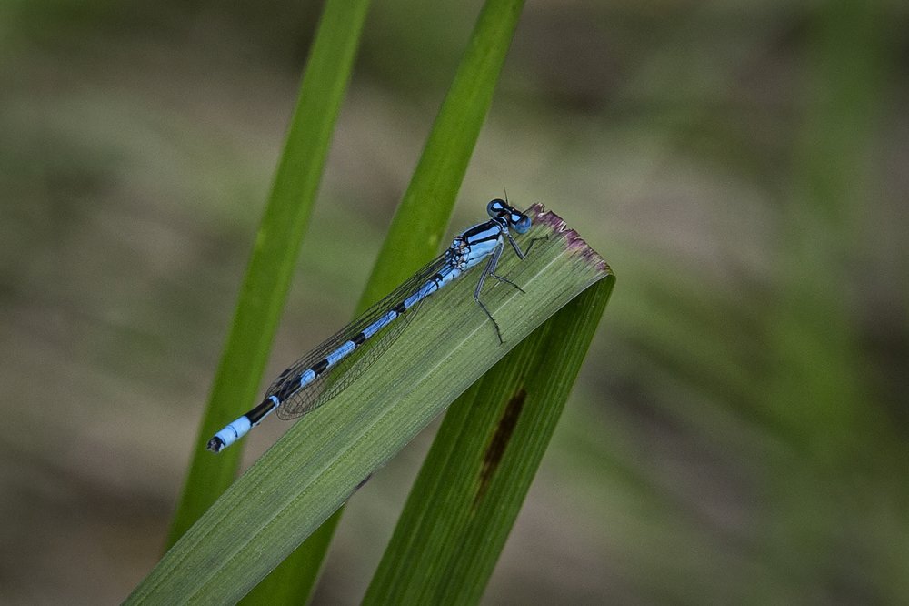 Photograph by Екатерина Рябинина