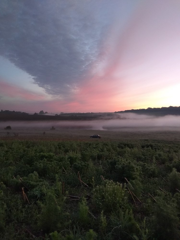 Photograph by Екатерина Нестерчук