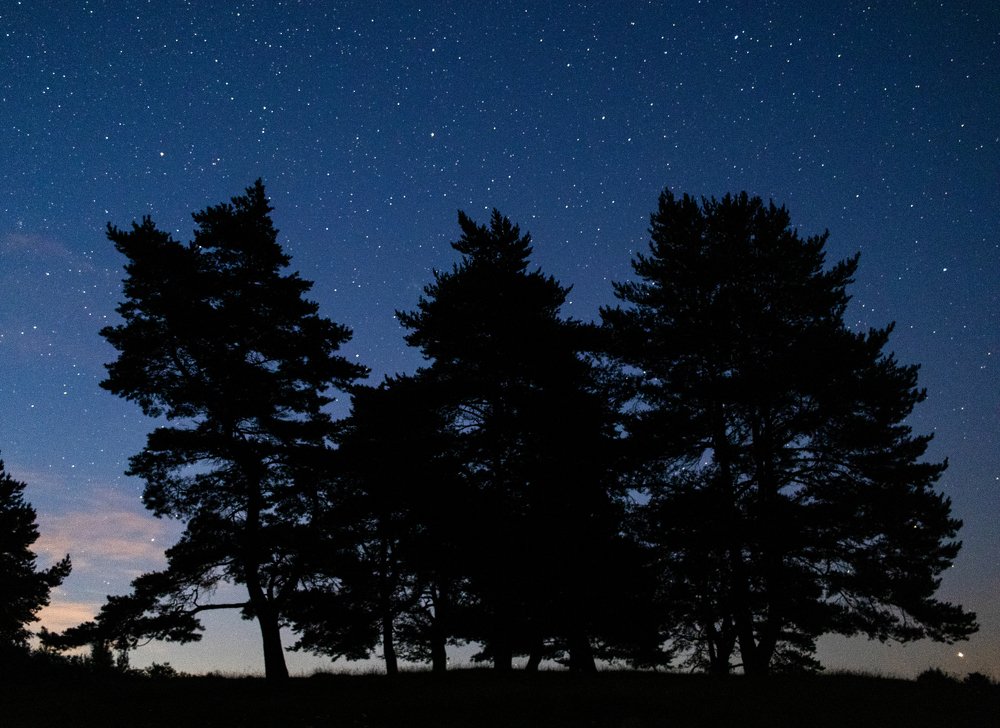 Photograph by Алексей Труханович