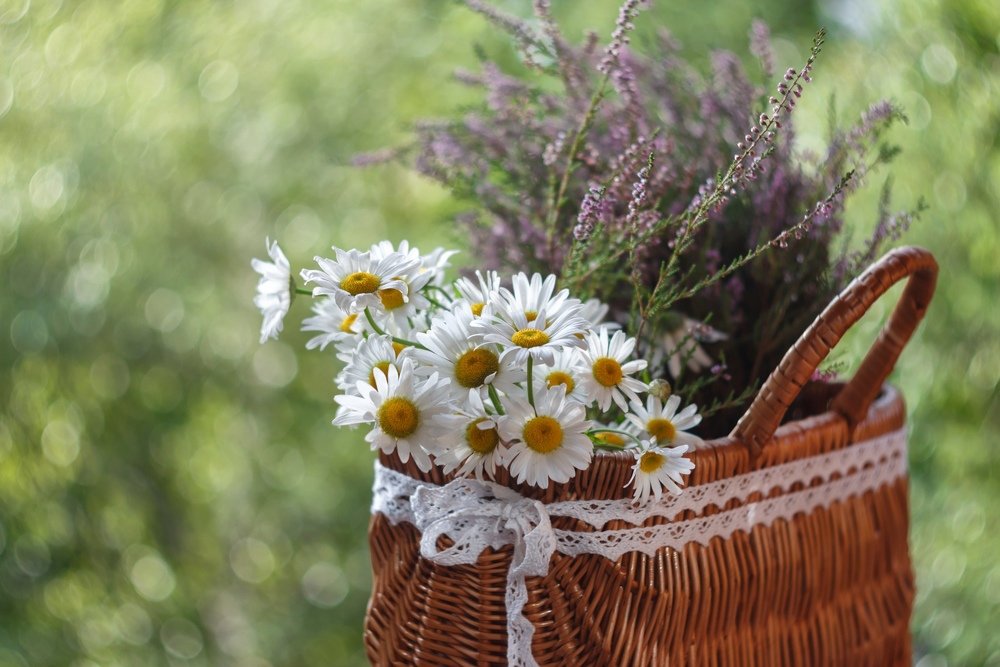 июльские подарки