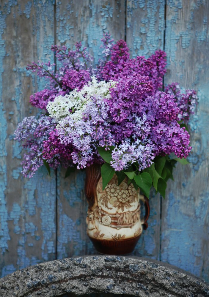 Фотография автора Юлия Капустинская