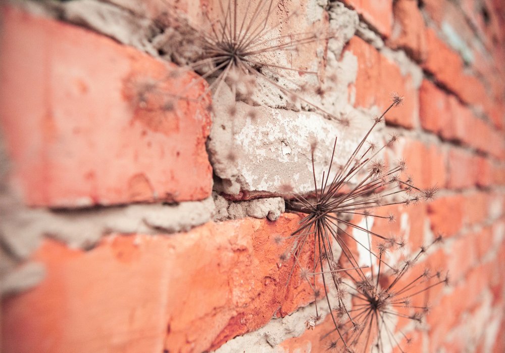 Фотография автора Юлия Капустинская