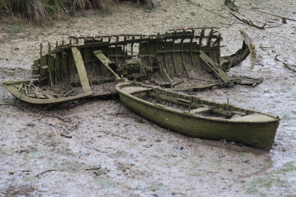 Photograph by Jose Luis Llamazares