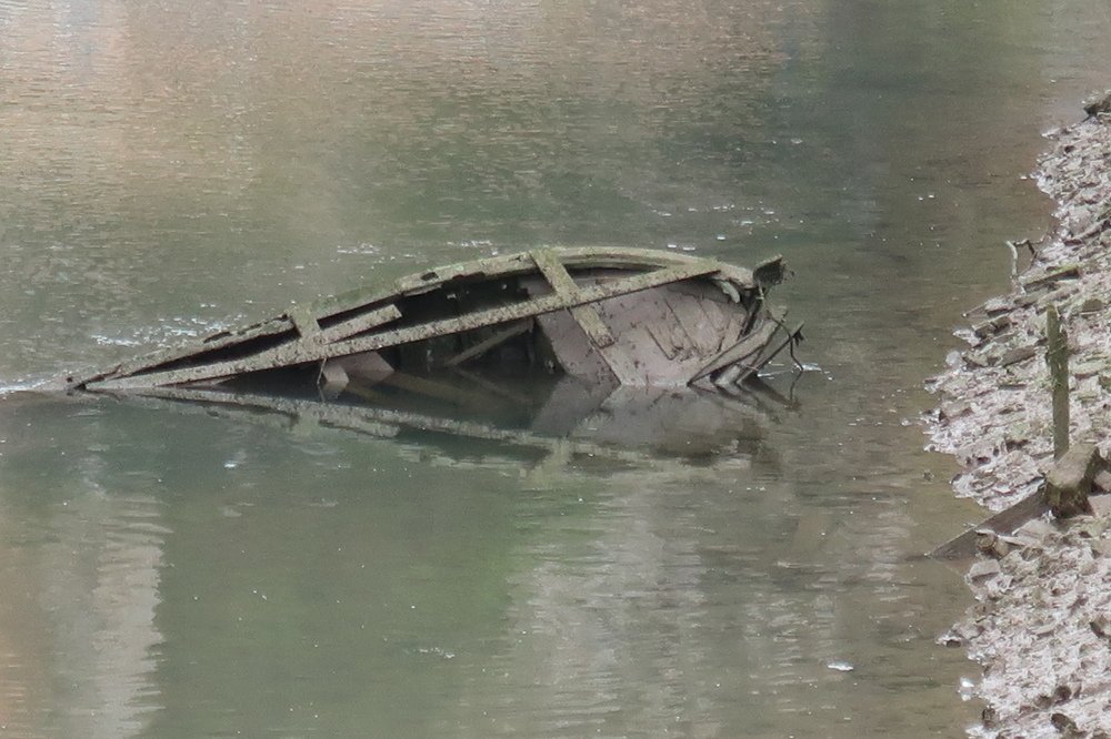 Photograph by Jose Luis Llamazares