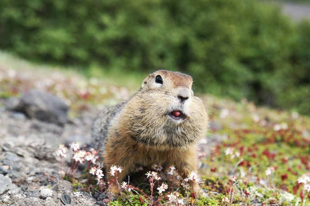 Photograph by Наина Касаева