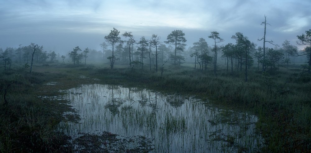 Photograph by Олег Иваницкий