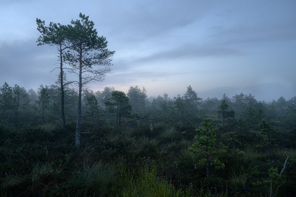 Photograph by Олег Иваницкий