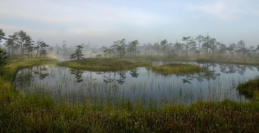 Photograph by Олег Иваницкий