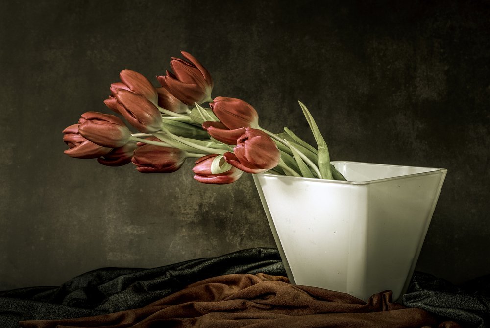 Photograph by Dragan Cerovic