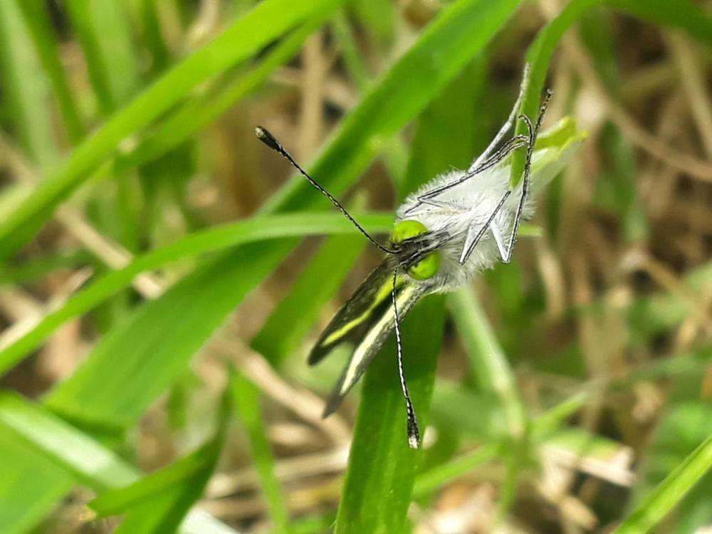 Photo #4833503