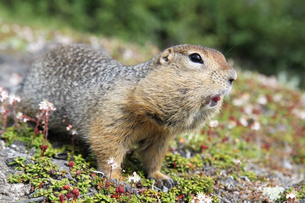Photograph by Наина Касаева