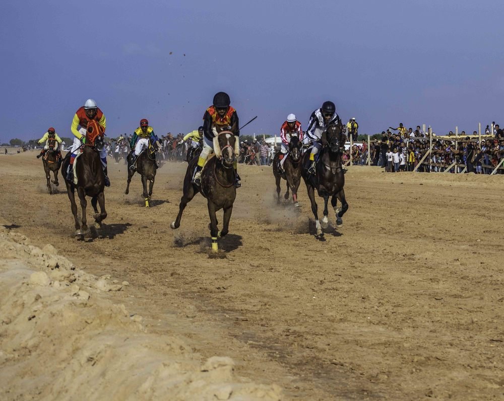 Photograph by Tounekti Abdallah