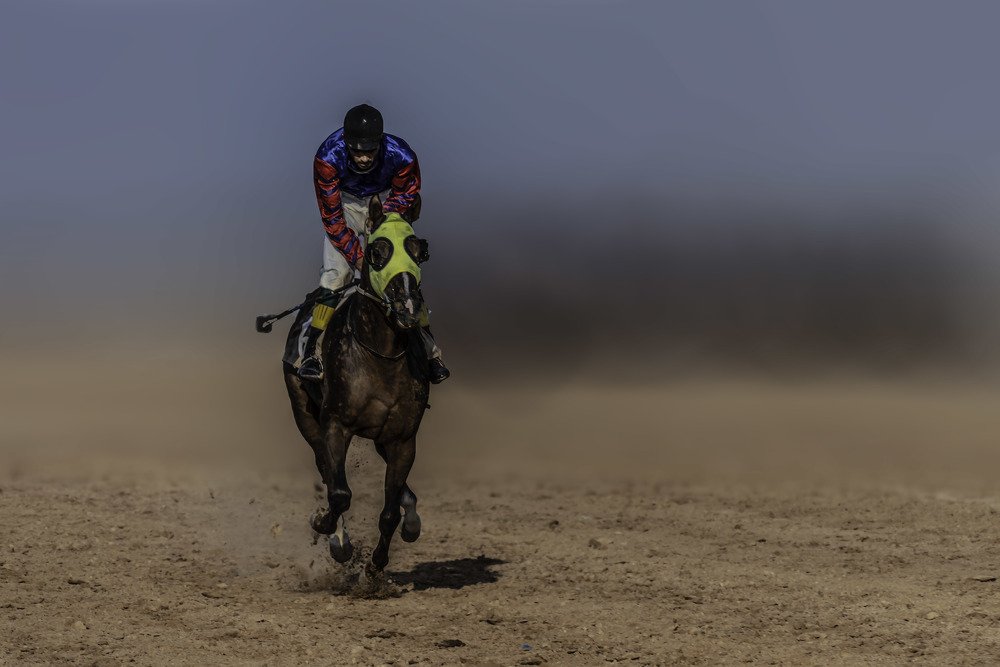 Photograph by Tounekti Abdallah